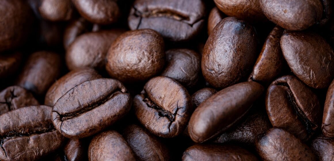 Featured image for Mersin Revives Gülnar’s Heritage ‘Leklek’ Bean With New Seed Support