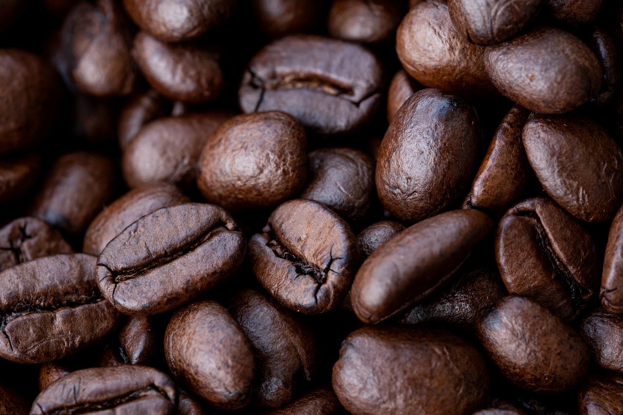 Featured image for Mersin Revives Gülnar’s Heritage ‘Leklek’ Bean With New Seed Support