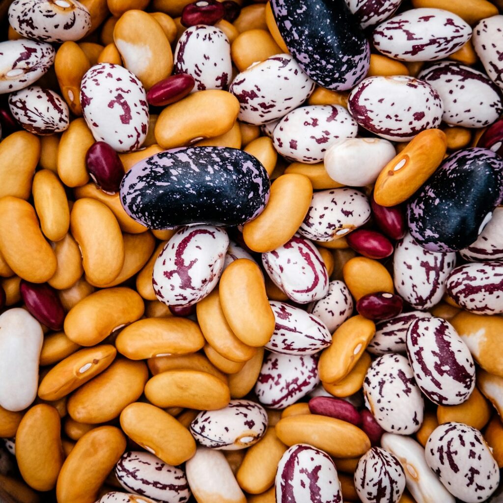 Inline news image for Mersin Revives Gülnar’s Heritage ‘Leklek’ Bean With New Seed Support