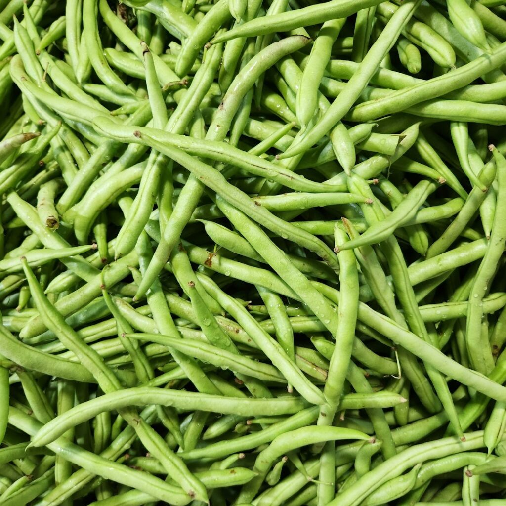 Inline news image for Mersin Revives Gülnar’s Heritage ‘Leklek’ Bean With New Seed Support